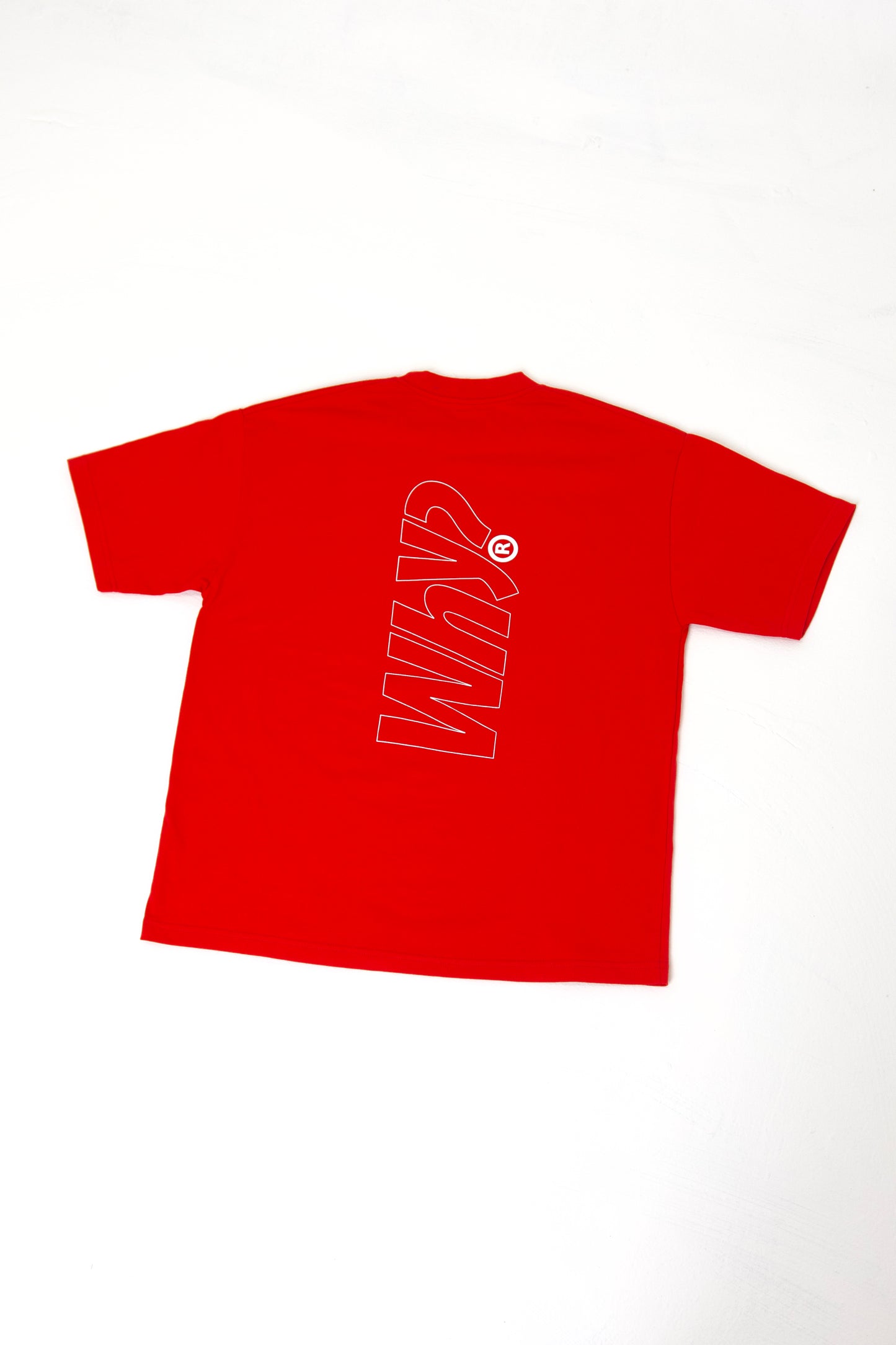 The Why Brand "The Big Why" (Holiday Red & Olive Green) Oversized Tee